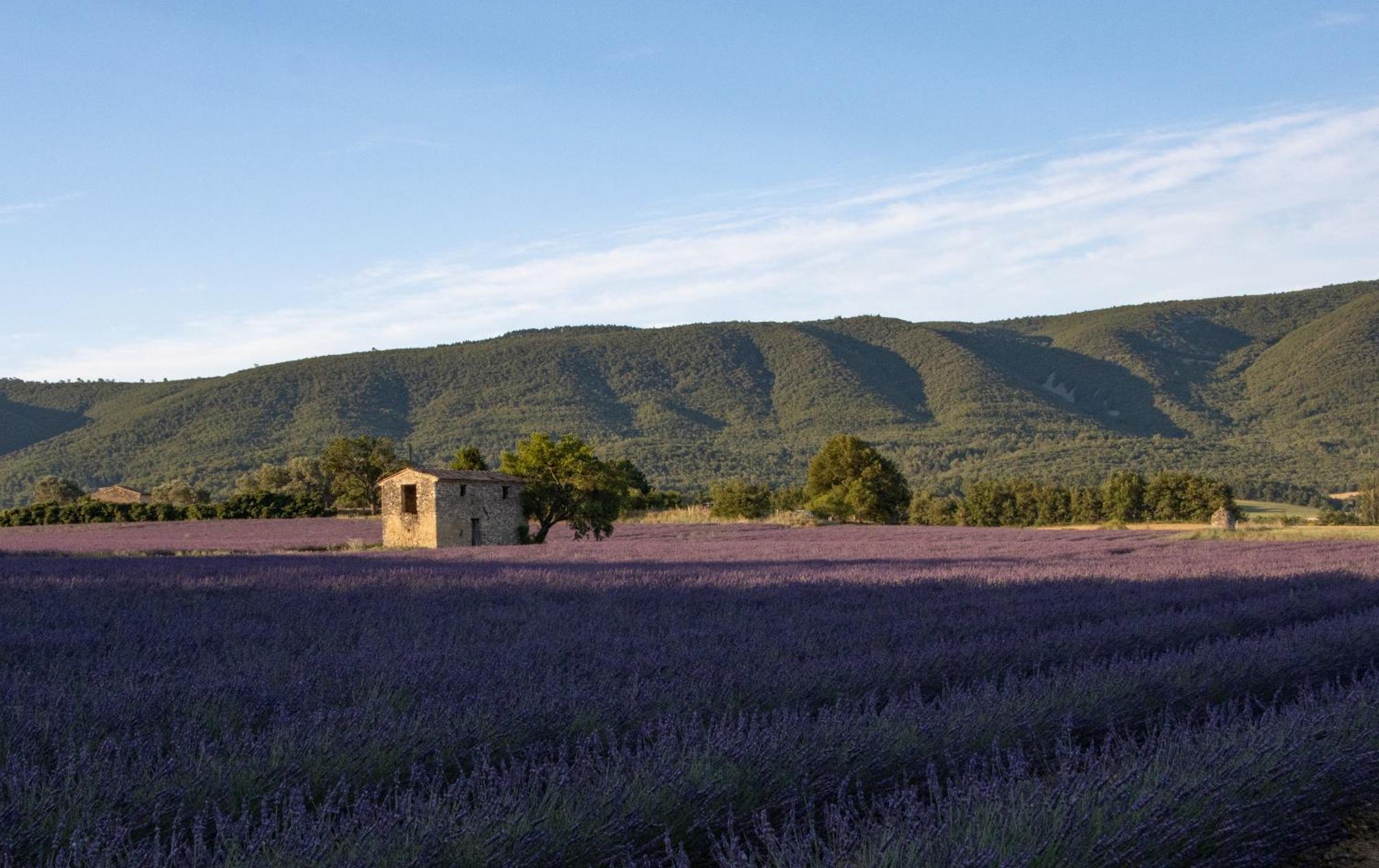 Studio Dans Le Luberon Céreste Exterior foto