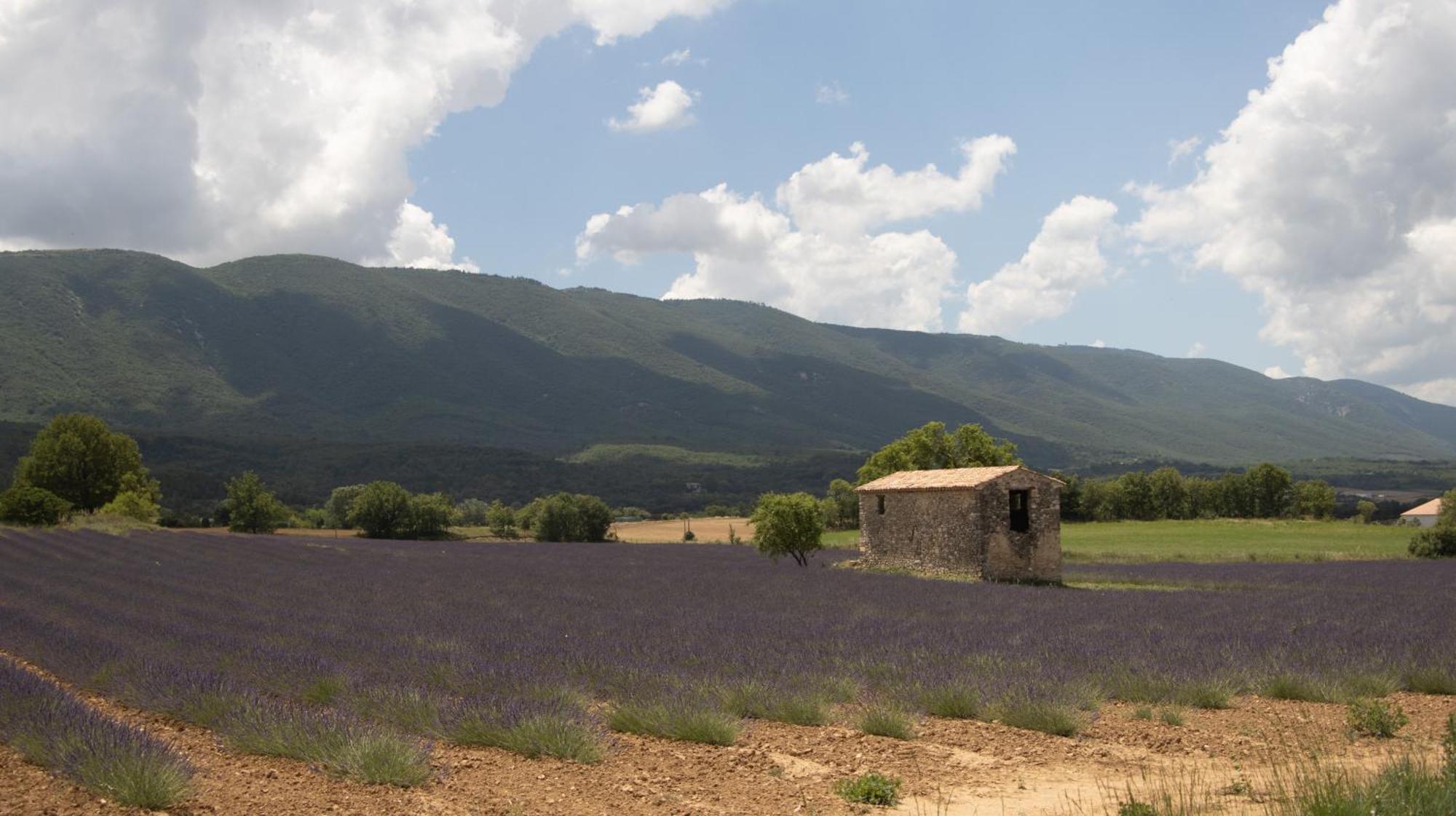 Studio Dans Le Luberon Céreste Exterior foto